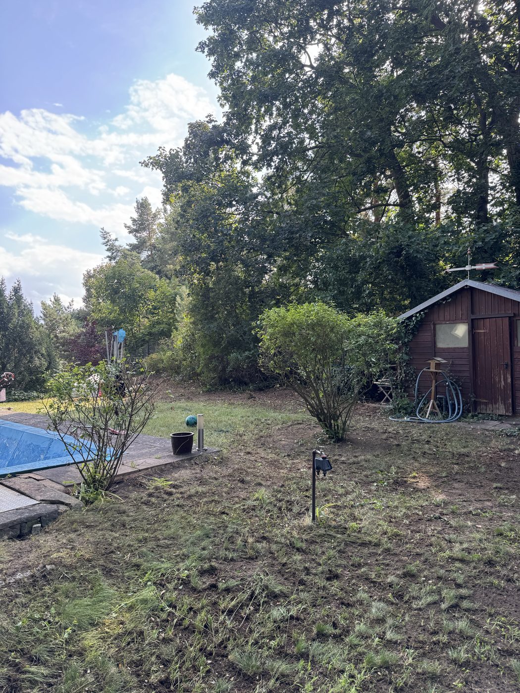 Garten nach der Pflege – gepflegte, freigeschnittene Fläche in Berlin