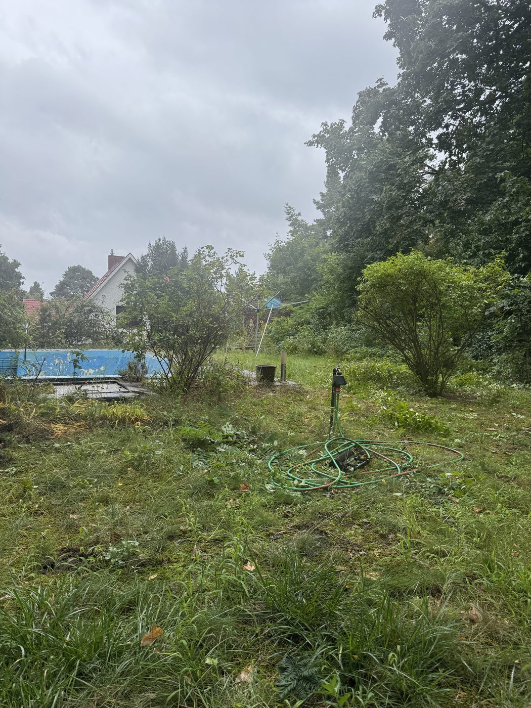 Grundstück vor der Gartenpflege – zugewachsener Bereich