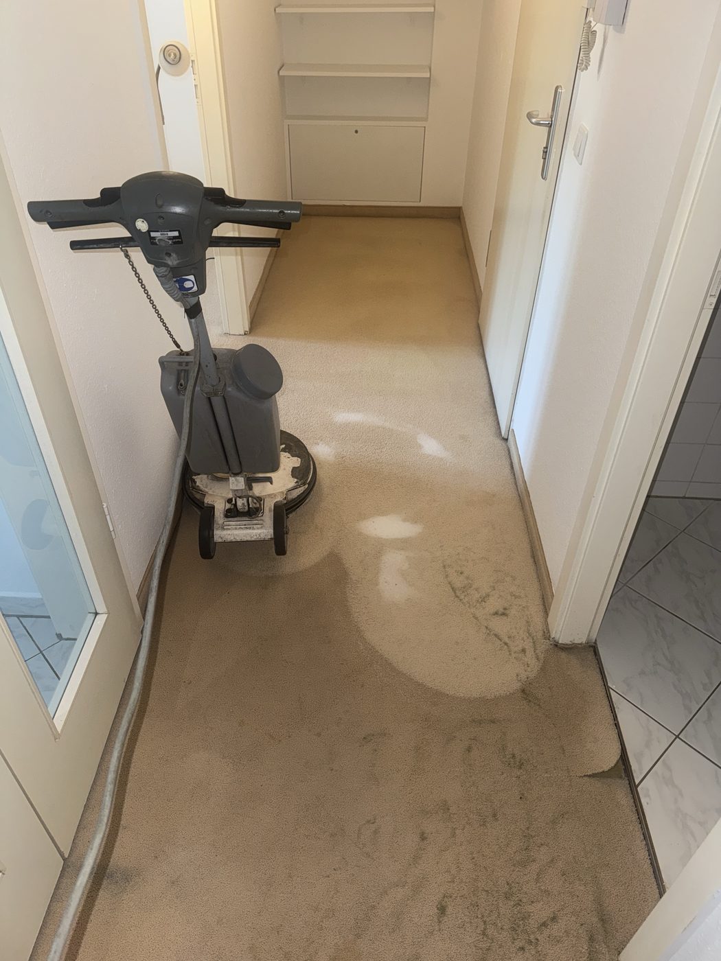 Teppichboden während/nach der professionellen Reinigung – sichtbar sauber